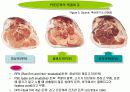 PSE돈육 발생의 원인이 되는  PSS 유전자 9페이지