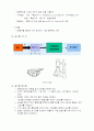 UV/Vis Spectrophotomer를 이용한 미지물질의 정량분석 7페이지