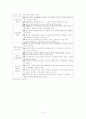 중국 전자산업의 국제화 전략 5페이지