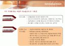 삼성전자 애니콜(ANYCALL)의 마케팅전략 13페이지