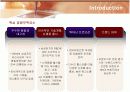 삼성전자 애니콜(ANYCALL)의 마케팅전략 18페이지