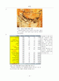 한국 에로영화 정밀 분석 20페이지