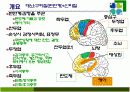 치매의 병리변화 원인 증상 치료 4페이지