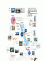 한반도 대운하와 환경문제 7페이지