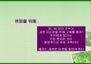 [마케팅]구매력 강화를 위한 웰치스(Welch's) 커뮤니케이션전략(A+리포트) 23페이지