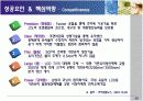 삼성코닝정밀유리 경영사례분석 15페이지