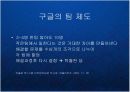 구글의 기업문화와 인재관리 Google 조직관리 케이스 발표 PPT 구글러와 팀의 수평적 기업조직 13페이지