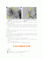 내과질환, 검사 및 간호, 튜브 및 관리, 병원 감염관리, pt care술 90페이지