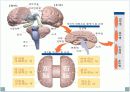 스트레스 18페이지