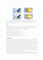 노년기에 관한 조사 11페이지