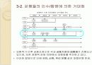 신한은행 기업조사 및 경쟁사와의 비교분석 8페이지