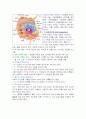 세포(cell) 정리 2페이지