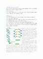 세포(cell) 정리 4페이지