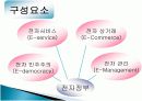 전자정부의 이해 11페이지