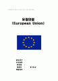 EU연합 (산업혁명이후 경제사에 나타난 역사적 사실) 1페이지