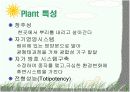 Plant Transformation (식물형질전환) 발표용 자료. 8페이지