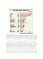 미국금융위기의 원인과 영향 5페이지