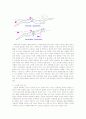 수영은 외형을 변화시켜 결과적으로 직무 만족도를 높힌다 5페이지