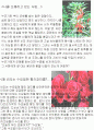 꽃들의 꽃말과 꽃말의 유래 2페이지