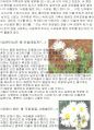 꽃들의 꽃말과 꽃말의 유래 3페이지