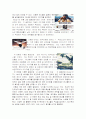 삼성 애니콜의 브랜드 이미지 제고를 위한 경영전략 5페이지