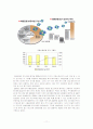 외환은행의 매각에 관한 조사 11페이지