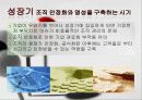 한국의 장수기업 분석 13페이지