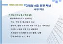 fc서울의 마케팅전략 7페이지