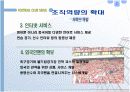 fc서울의 마케팅전략 9페이지