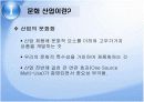 한류와 문화산업 6페이지