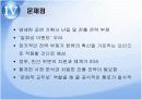 한류와 문화산업 17페이지