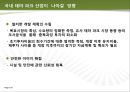 국내 테마파크 산업분석 29페이지