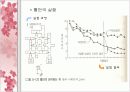 인지주의.PPT자료 11페이지