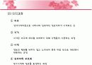 인지주의.PPT자료 16페이지