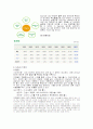 LG전자 인도시장 진출 전략(엘지전자) 6페이지