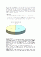 LG전자 인도시장 진출 전략(엘지전자) 16페이지