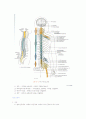 신경계에 대한 고찰 3페이지