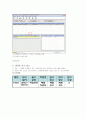 생산관리의 ERP적용 방법과 풀무원 사례를 통해 ERP의 개념 및 필요성에 대해 알아보시오. 8페이지