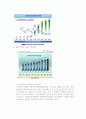 쇼핑몰사업계획서 6페이지