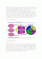 마케팅의 개념 및 전략의 이해 5페이지