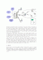 무선멀티미디어 관련 국내·외 기술 및 시장동향 2페이지