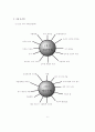 시립어린이집과 사립유치원의 비교연구 6페이지