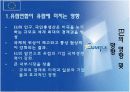 [국제경영] EU 및 기타 경제통합사례 7페이지