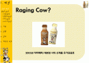 온라인 PR의 실행과 결과 사례 - raging cow 2페이지