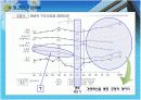 [조직개발론]IBM 경영혁신(IBM 사례) 11페이지