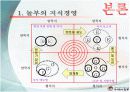 놀부의 지식경영 ppt 10페이지