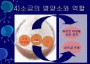 김치의 영양적 특성과 발효과정 19페이지