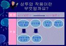 김치의 영양적 특성과 발효과정 20페이지