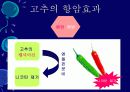 김치의 영양적 특성과 발효과정 23페이지