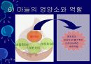 김치의 영양적 특성과 발효과정 25페이지
